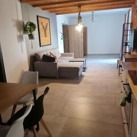 Апартаменты Apartament Jelen Злотув Экстерьер фото